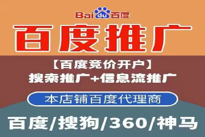 SEM服务公司成功案例解读